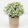 Artificial Plant GRASS IN PAPER POT GS-05521118_1 Artificial Plant 14*18CM GRASS IN PAPER POT GS-05521118 Potted Flowers&Plants YeahFlower is one of Chinese leading OEM manufacturers and exporters , supplying the silk flowers, wholesale artificial trees
