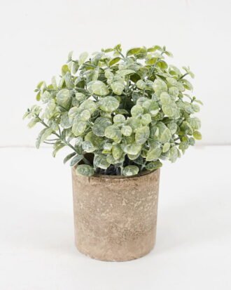 Artificial Plant 14*18CM GRASS IN PAPER POT GS-05521118 Potted Flowers&Plants YeahFlower is one of Chinese leading OEM manufacturers and exporters , supplying the silk flowers, wholesale artificial trees