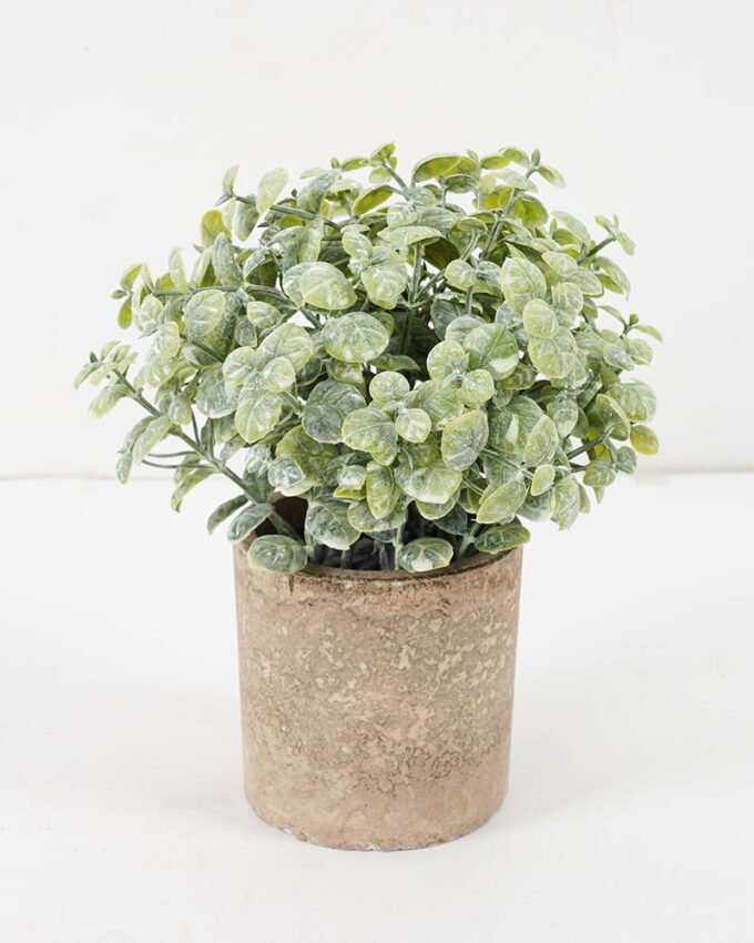 Artificial Plant GRASS IN PAPER POT GS-05521118_1 Artificial Plant 14*18CM GRASS IN PAPER POT GS-05521118 Potted Flowers&Plants YeahFlower is one of Chinese leading OEM manufacturers and exporters , supplying the silk flowers, wholesale artificial trees