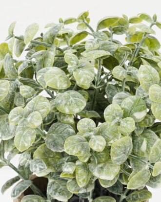 Artificial Plant 14*18CM GRASS IN PAPER POT GS-05521118 Potted Flowers&Plants YeahFlower is one of Chinese leading OEM manufacturers and exporters , supplying the silk flowers, wholesale artificial trees