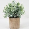 Artificial Plant 14*20CM GRASS IN PAPER POT GS-05521120 Potted Flowers&Plants YeahFlower is one of Chinese leading OEM manufacturers and exporters , supplying the silk flowers, wholesale artificial trees