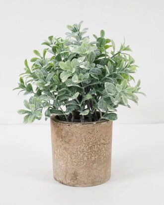 Artificial Plant 14*20CM GRASS IN PAPER POT GS-05521120 Potted Flowers&Plants YeahFlower is one of Chinese leading OEM manufacturers and exporters , supplying the silk flowers, wholesale artificial trees