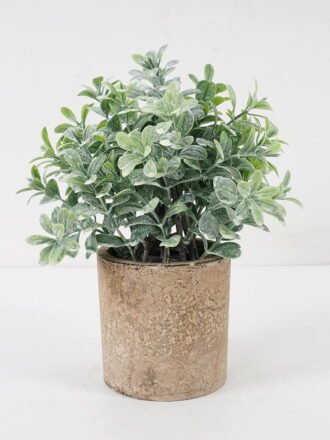 Artificial Plant 14*18CM GRASS IN PAPER POT GS-05521118 Potted Flowers&Plants 3,000+ sqm showroom with thousands of artificial flowers, plants & trees ready for global sourcing.
