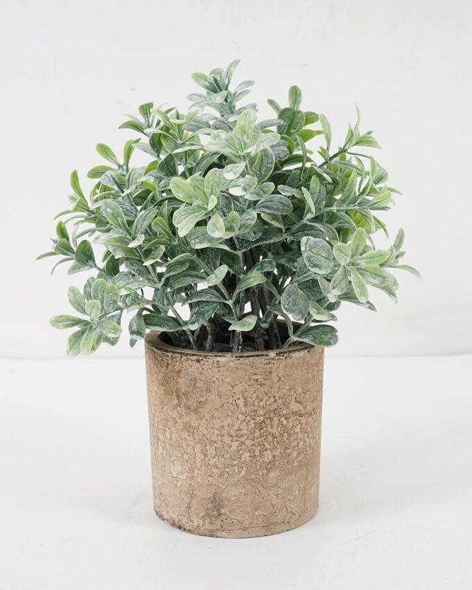 Artificial Plant 14*20CM GRASS IN PAPER POT GS-05521120 Potted Flowers&Plants YeahFlower is one of Chinese leading OEM manufacturers and exporters , supplying the silk flowers, wholesale artificial trees