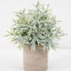 Artificial Plant 15*20CM GRASS IN PAPER POT GS-05521122 Potted Flowers&Plants YeahFlower is one of Chinese leading OEM manufacturers and exporters , supplying the silk flowers, wholesale artificial trees