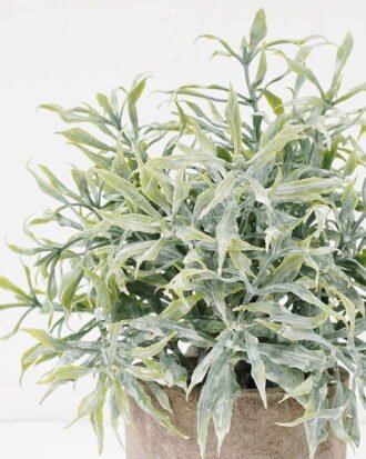 Artificial Plant 15*20CM GRASS IN PAPER POT GS-05521122 Potted Flowers&Plants YeahFlower is one of Chinese leading OEM manufacturers and exporters , supplying the silk flowers, wholesale artificial trees