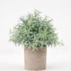 Artificial Plant 18*20CM GRASS IN PAPER POT GS-05521123 Potted Flowers&Plants YeahFlower is one of Chinese leading OEM manufacturers and exporters , supplying the silk flowers, wholesale artificial trees