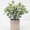 Artificial Plant 16*22CM GRASS IN PAPER POT GS-05521124 Potted Flowers&Plants YeahFlower is one of Chinese leading OEM manufacturers and exporters , supplying the silk flowers, wholesale artificial trees