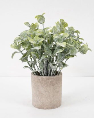 Artificial Plant 16*22CM GRASS IN PAPER POT GS-05521124 Potted Flowers&Plants YeahFlower is one of Chinese leading OEM manufacturers and exporters , supplying the silk flowers, wholesale artificial trees
