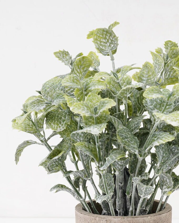 Artificial Plant 16*22CM GRASS IN PAPER POT GS-05521124 Potted Flowers&Plants YeahFlower is one of Chinese leading OEM manufacturers and exporters , supplying the silk flowers, wholesale artificial trees