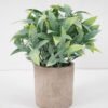 Artificial Plant 15*19CM GRASS IN PAPER POT GS-05521127 Potted Flowers&Plants YeahFlower is one of Chinese leading OEM manufacturers and exporters , supplying the silk flowers, wholesale artificial trees