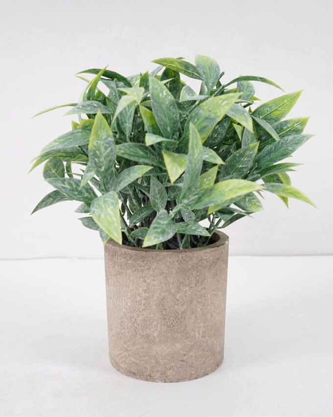Artificial Plant 15*19CM GRASS IN PAPER POT GS-05521127 Potted Flowers&Plants YeahFlower is one of Chinese leading OEM manufacturers and exporters , supplying the silk flowers, wholesale artificial trees