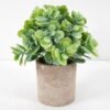 Artificial Plant 15*18CM GRASS IN PAPER POT GS-05521128 Potted Flowers&Plants YeahFlower is one of Chinese leading OEM manufacturers and exporters , supplying the silk flowers, wholesale artificial trees