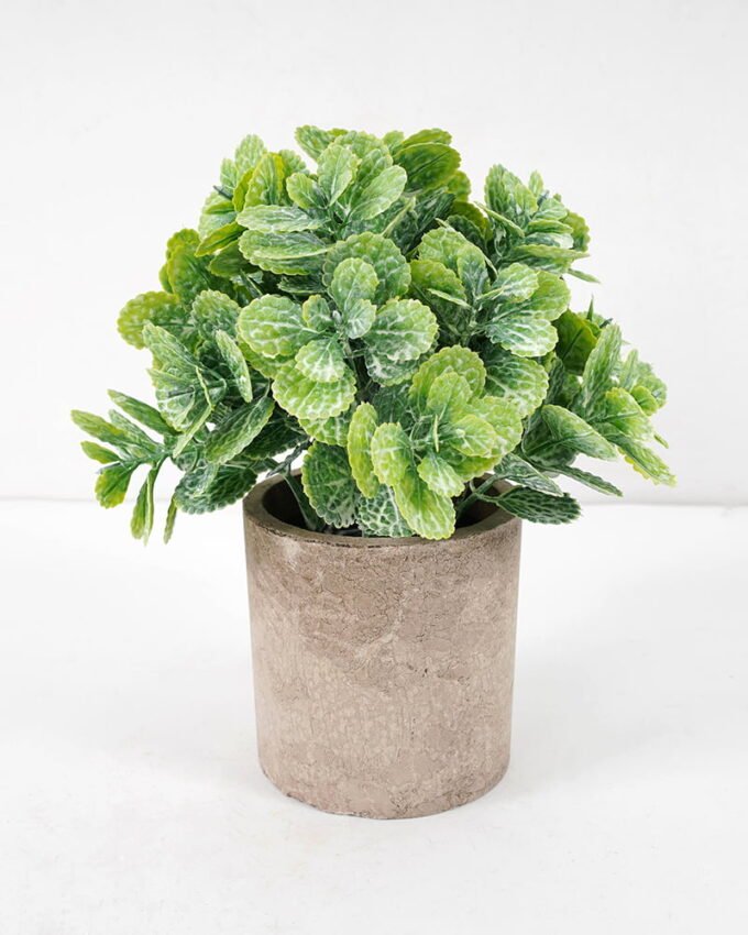 Artificial Plant 15*18CM GRASS IN PAPER POT GS-05521128 Potted Flowers&Plants YeahFlower is one of Chinese leading OEM manufacturers and exporters , supplying the silk flowers, wholesale artificial trees