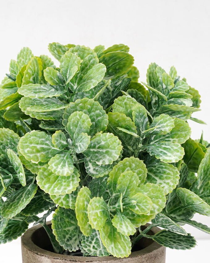 Artificial Plant 15*18CM GRASS IN PAPER POT GS-05521128 Potted Flowers&Plants YeahFlower is one of Chinese leading OEM manufacturers and exporters , supplying the silk flowers, wholesale artificial trees