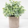 Artificial Plant 16*19CM GRASS IN PAPER POT GS-05521129 Potted Flowers&Plants 3,000+ sqm showroom with thousands of artificial flowers, plants & trees ready for global sourcing.