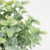 Artificial Plant 16*19CM GRASS IN PAPER POT GS-05521129 Potted Flowers&Plants 3,000+ sqm showroom with thousands of artificial flowers, plants & trees ready for global sourcing.