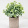 Artificial Plant 15*20CM GRASS IN PAPER POT GS-05521130 Potted Flowers&Plants YeahFlower is one of Chinese leading OEM manufacturers and exporters , supplying the silk flowers, wholesale artificial trees