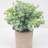 Artificial Plant 15*20CM GRASS IN PAPER POT GS-05521131 Potted Flowers&Plants YeahFlower is one of Chinese leading OEM manufacturers and exporters , supplying the silk flowers, wholesale artificial trees