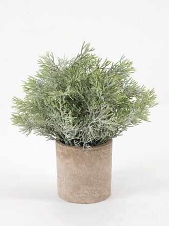 Artificial Plant 14*18CM GRASS IN PAPER POT GS-05521132 Potted Flowers&Plants 3,000+ sqm showroom with thousands of artificial flowers, plants & trees ready for global sourcing.