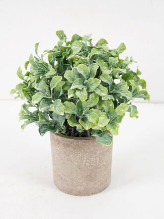 Artificial Plant 16*20CM GRASS IN PAPER POT GS-05521135 Potted Flowers&Plants 3,000+ sqm showroom with thousands of artificial flowers, plants & trees ready for global sourcing.