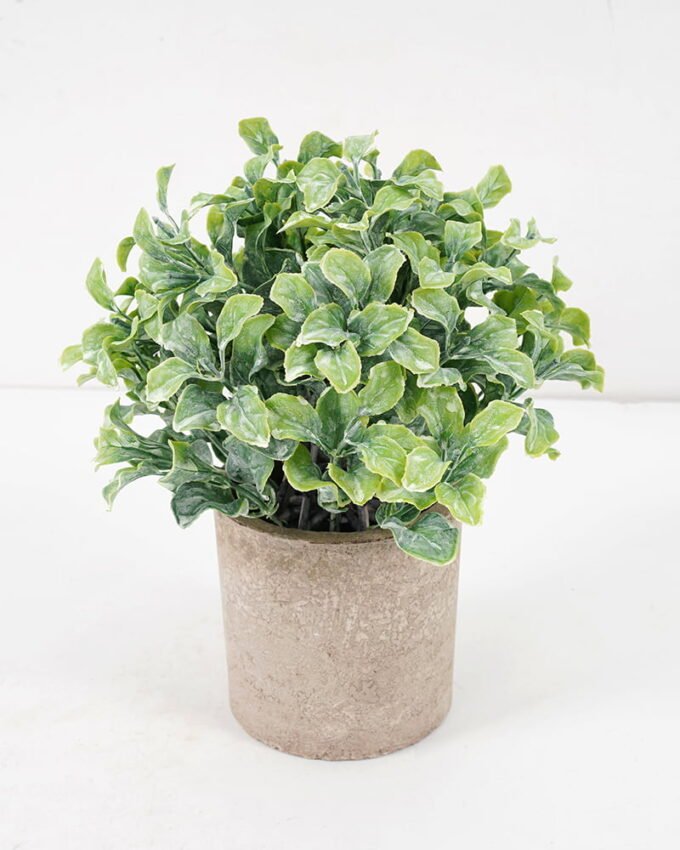 Artificial Plant 14*19CM GRASS IN PAPER POT GS-05521136 Potted Flowers&Plants YeahFlower is one of Chinese leading OEM manufacturers and exporters , supplying the silk flowers, wholesale artificial trees