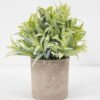 Artificial Plant 15*19CM GRASS IN PAPER POT GS-05521137 Potted Flowers&Plants YeahFlower is one of Chinese leading OEM manufacturers and exporters , supplying the silk flowers, wholesale artificial trees