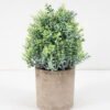 Artificial Plant 12*19CM GRASS IN PAPER POT GS-05521138 Potted Flowers&Plants YeahFlower is one of Chinese leading OEM manufacturers and exporters , supplying the silk flowers, wholesale artificial trees