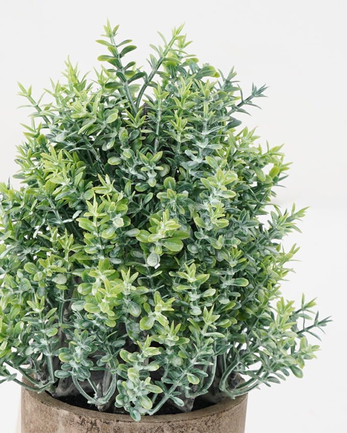 Artificial Plant 12*19CM GRASS IN PAPER POT GS-05521138 Potted Flowers&Plants YeahFlower is one of Chinese leading OEM manufacturers and exporters , supplying the silk flowers, wholesale artificial trees