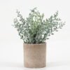 Artificial Plant 18*22CM GRASS IN PAPER POT GS-05521141 Potted Flowers&Plants YeahFlower is one of Chinese leading OEM manufacturers and exporters , supplying the silk flowers, wholesale artificial trees