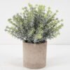 Artificial Plant 15*20CM GRASS IN PAPER POT GS-05521144 Potted Flowers&Plants YeahFlower is one of Chinese leading OEM manufacturers and exporters , supplying the silk flowers, wholesale artificial trees