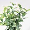 Artificial Plant 8*17CM GRASS IN PE POT GS-05521067 Potted Flowers&Plants YeahFlower is one of Chinese leading OEM manufacturers and exporters , supplying the silk flowers, wholesale artificial trees