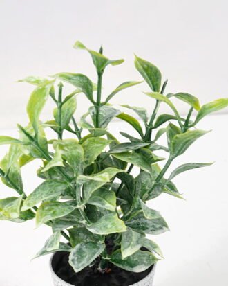 Artificial Plant 8*17CM GRASS IN PE POT GS-05521067 Potted Flowers&Plants YeahFlower is one of Chinese leading OEM manufacturers and exporters , supplying the silk flowers, wholesale artificial trees