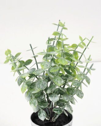 Artificial Plant 8*17CM GRASS IN PE POT GS-05521068 Potted Flowers&Plants YeahFlower is one of Chinese leading OEM manufacturers and exporters , supplying the silk flowers, wholesale artificial trees Artificial Plant 8*17CM GRASS IN PE POT GS-05521068 Potted Flowers&Plants YeahFlower is one of Chinese leading OEM manufacturers and exporters , supplying the silk flowers, wholesale artificial trees