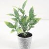 Artificial Plant 8*17CM GRASS IN PE POT GS-05521069 Potted Flowers&Plants YeahFlower is one of Chinese leading OEM manufacturers and exporters , supplying the silk flowers, wholesale artificial trees