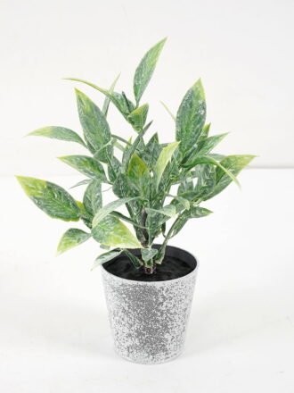 Artificial Plant 10*15CM GRASS IN PE POT GS-05521070 Potted Flowers&Plants 3,000+ sqm showroom with thousands of artificial flowers, plants & trees ready for global sourcing.