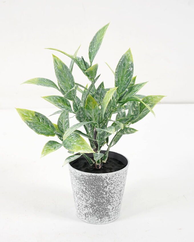 Artificial Plant 8*17CM GRASS IN PE POT GS-05521069 Potted Flowers&Plants YeahFlower is one of Chinese leading OEM manufacturers and exporters , supplying the silk flowers, wholesale artificial trees
