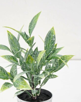 Artificial Plant 8*17CM GRASS IN PE POT GS-05521069 Potted Flowers&Plants YeahFlower is one of Chinese leading OEM manufacturers and exporters , supplying the silk flowers, wholesale artificial trees Artificial Plant 8*17CM GRASS IN PE POT GS-05521069 Potted Flowers&Plants YeahFlower is one of Chinese leading OEM manufacturers and exporters , supplying the silk flowers, wholesale artificial trees