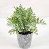 Artificial Plant 10*15CM GRASS IN PE POT GS-05521070 Potted Flowers&Plants YeahFlower is one of Chinese leading OEM manufacturers and exporters , supplying the silk flowers, wholesale artificial trees