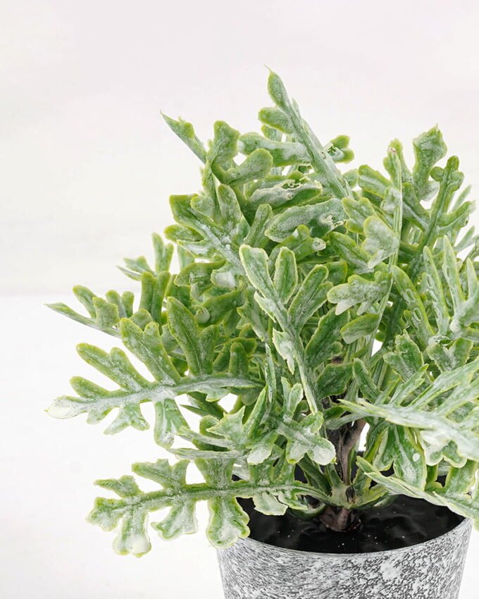 Artificial Plant 10*15CM GRASS IN PE POT GS-05521070 Potted Flowers&Plants YeahFlower is one of Chinese leading OEM manufacturers and exporters , supplying the silk flowers, wholesale artificial trees