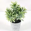 Artificial Plant 10*15CM GRASS IN PE POT GS-05521071 Potted Flowers&Plants YeahFlower is one of Chinese leading OEM manufacturers and exporters , supplying the silk flowers, wholesale artificial trees