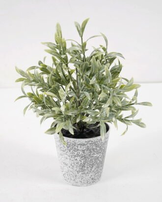 Artificial Plant 10*15CM GRASS IN PE POT GS-05521072 Potted Flowers&Plants YeahFlower is one of Chinese leading OEM manufacturers and exporters , supplying the silk flowers, wholesale artificial trees