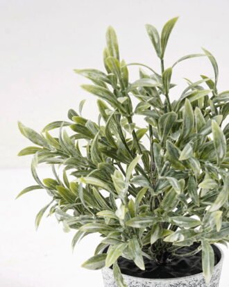 Artificial Plant 10*15CM GRASS IN PE POT GS-05521072 Potted Flowers&Plants YeahFlower is one of Chinese leading OEM manufacturers and exporters , supplying the silk flowers, wholesale artificial trees