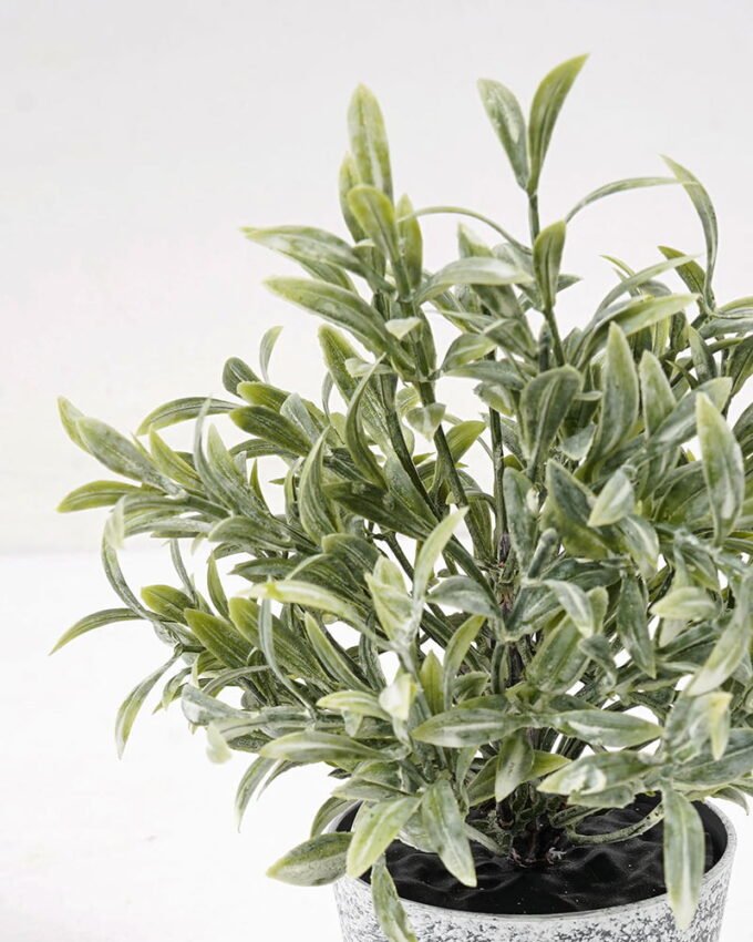 Artificial Plant 10*15CM GRASS IN PE POT GS-05521072 Potted Flowers&Plants YeahFlower is one of Chinese leading OEM manufacturers and exporters , supplying the silk flowers, wholesale artificial trees