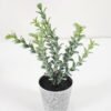 Artificial Plant GRASS IN PE POT GS-05521073_4 Artificial Plant 7*17CM GRASS IN PE POT GS-05521073 Potted Flowers&Plants YeahFlower is one of Chinese leading OEM manufacturers and exporters , supplying the silk flowers, wholesale artificial trees