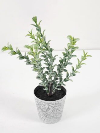 Artificial Plant 10*15CM GRASS IN PE POT GS-05521072 Potted Flowers&Plants 3,000+ sqm showroom with thousands of artificial flowers, plants & trees ready for global sourcing.