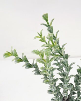 Artificial Plant 7*17CM GRASS IN PE POT GS-05521073 Potted Flowers&Plants YeahFlower is one of Chinese leading OEM manufacturers and exporters , supplying the silk flowers, wholesale artificial trees