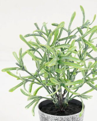 Artificial Plant 7*17CM GRASS IN PE POT GS-05521074 Potted Flowers&Plants YeahFlower is one of Chinese leading OEM manufacturers and exporters , supplying the silk flowers, wholesale artificial trees