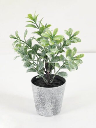 Artificial Plant 8*13CM GRASS IN PE POT GS-05521076 Potted Flowers&Plants 3,000+ sqm showroom with thousands of artificial flowers, plants & trees ready for global sourcing.