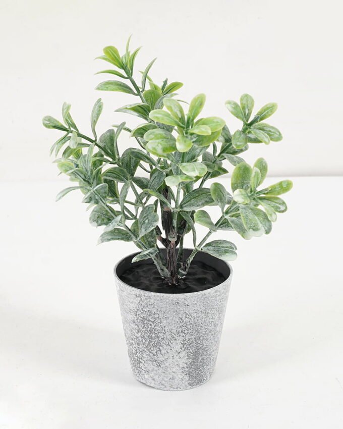 Artificial Plant 7*17CM GRASS IN PE POT GS-05521075 Potted Flowers&Plants YeahFlower is one of Chinese leading OEM manufacturers and exporters , supplying the silk flowers, wholesale artificial trees